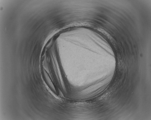 X0000068830894200605261612