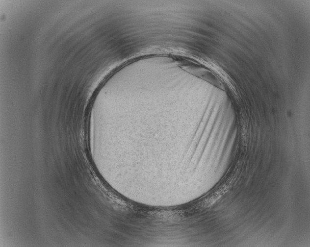 X0000068830896200605261612