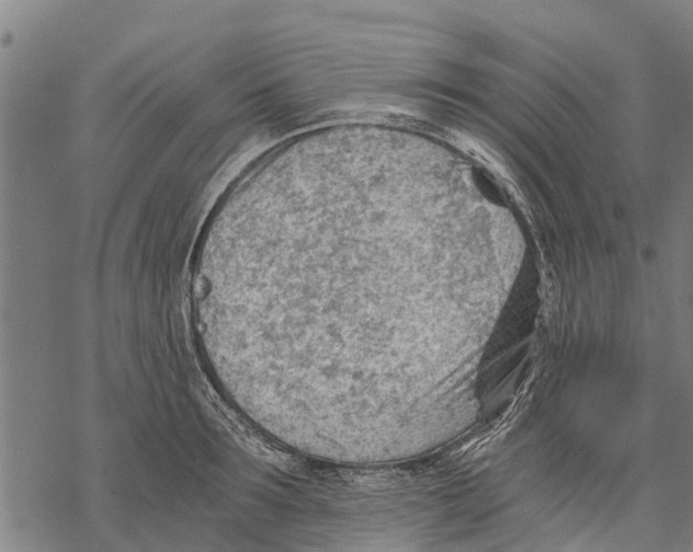 X0000068830899200605261612