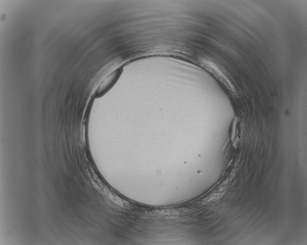 X0000068830900200605261612