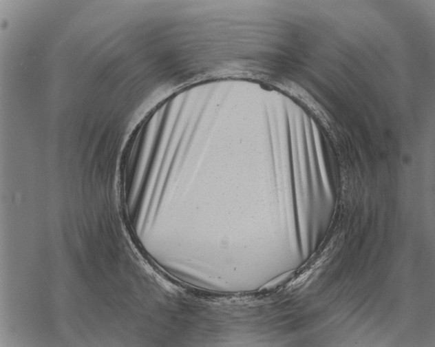 X0000068830902200605261612