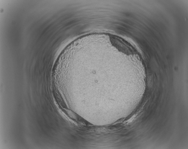 X0000068830903200605261612