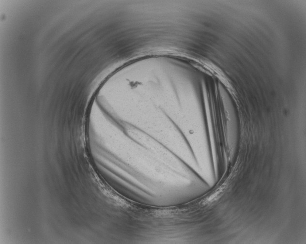 X0000068830904200605261612