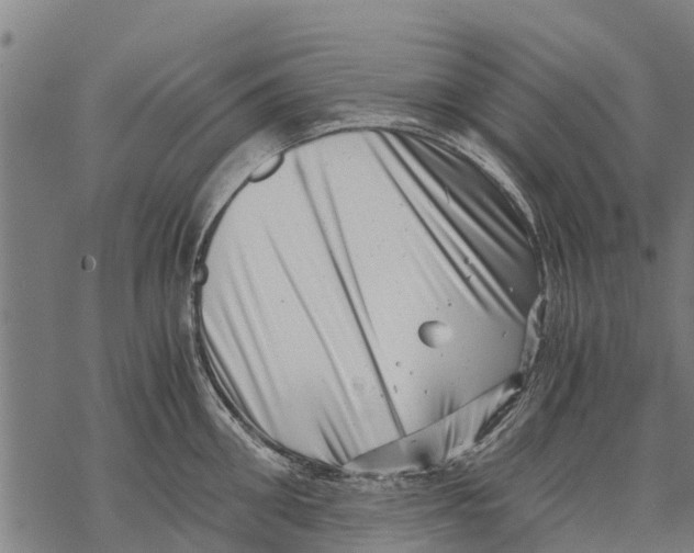 X0000068830906200605261612