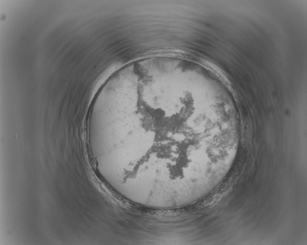 X0000068830907200605261612