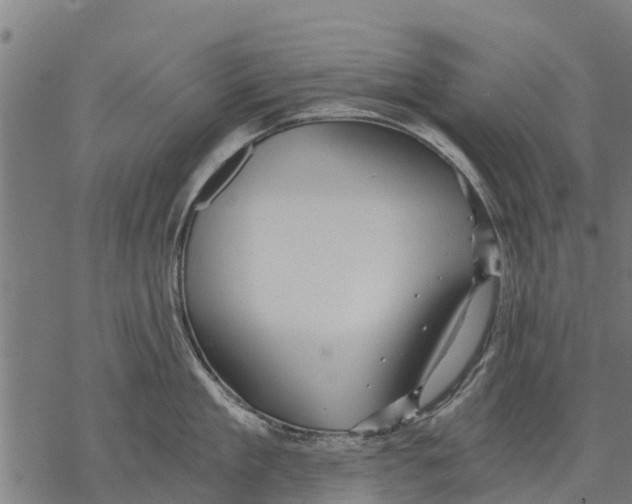 X0000068830909200605261612