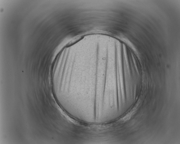 X0000068830910200605261612