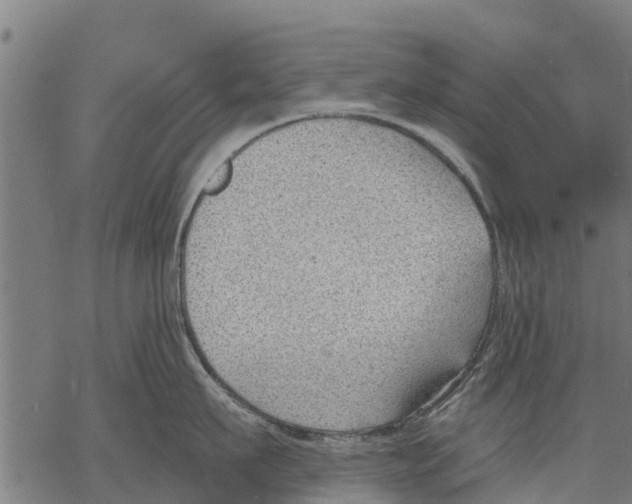 X0000068830911200605261612