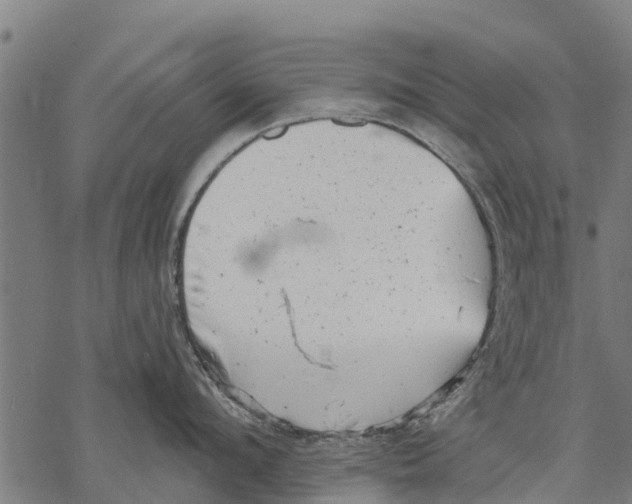 X0000068830912200605261612