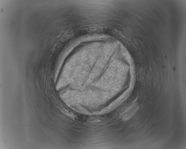 X0000068830913200605261611