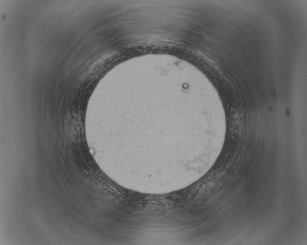 X0000068830918200605261611