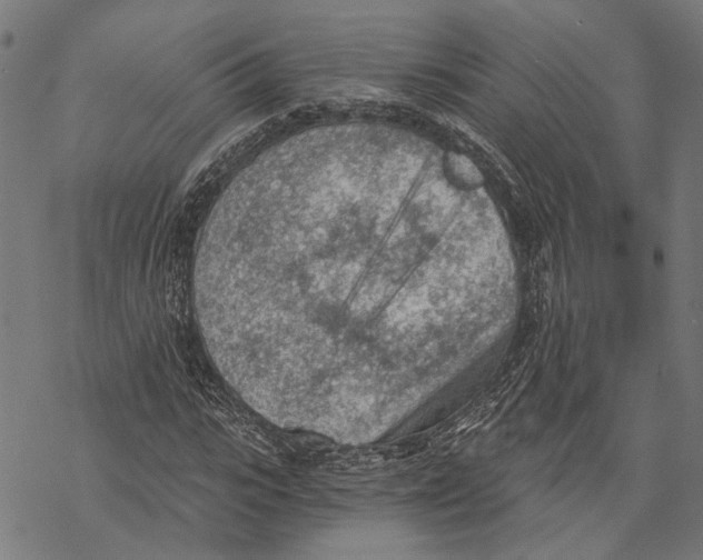 X0000068830919200605261611