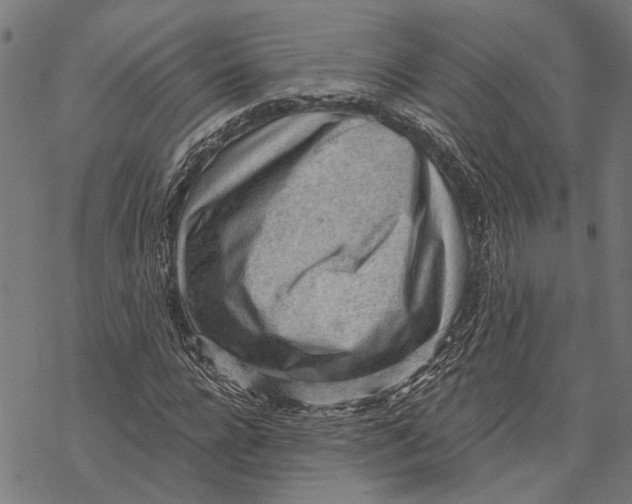 X0000068830920200605261612