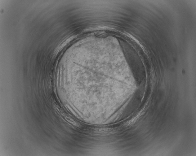 X0000068830921200605261612