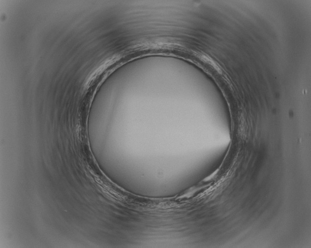 X0000068830922200605261612