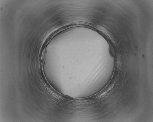 X0000068830924200605261612