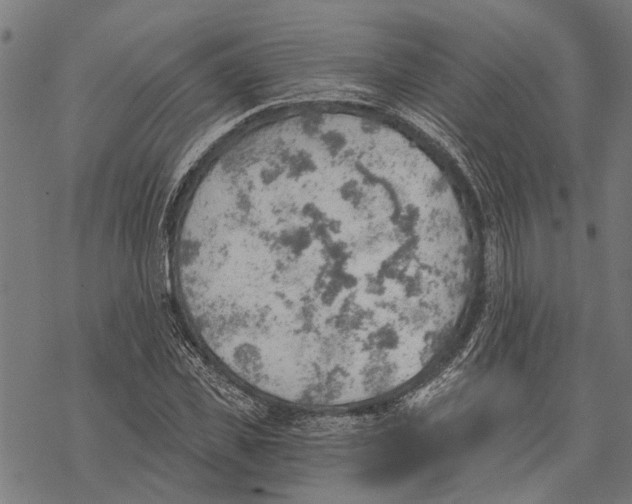 X0000068830925200605261612