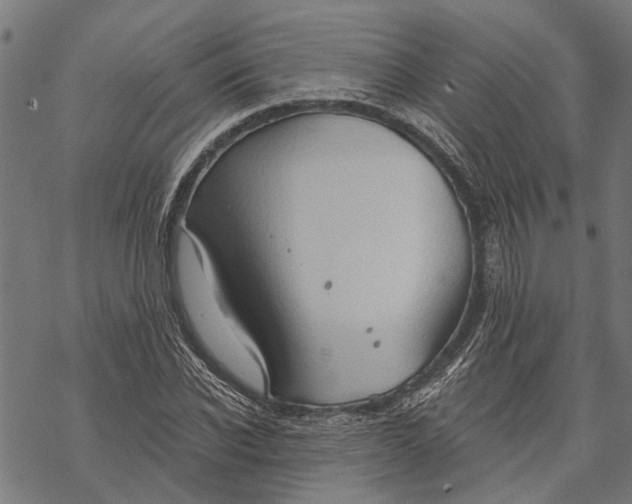 X0000068830926200605261612