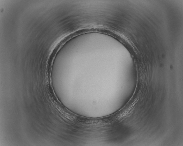 X0000068830927200605261612