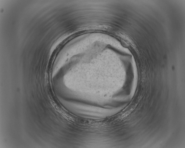 X0000068830928200605261612