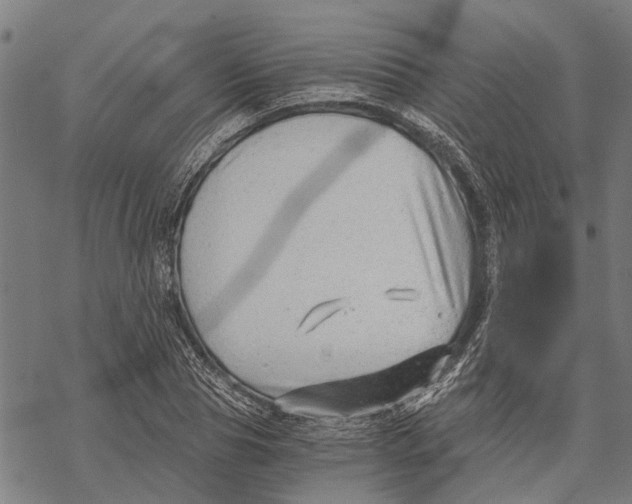 X0000068830929200605261612