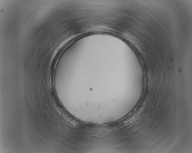 X0000068830931200605261612