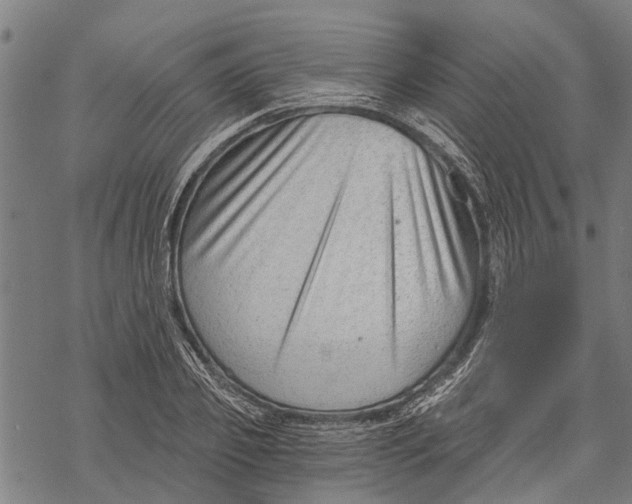 X0000068830933200605261612