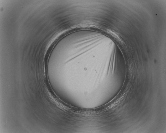 X0000068830934200605261612