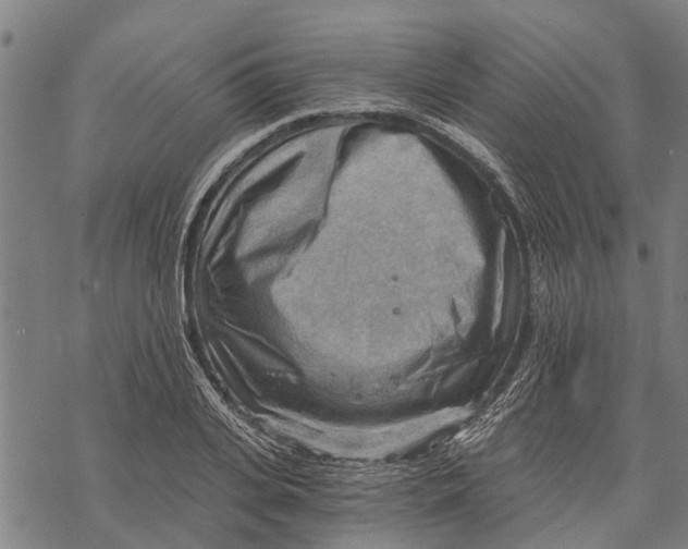 X0000068830935200605261612