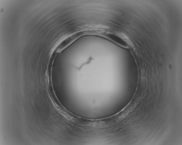 X0000068830936200605261612