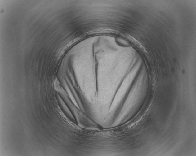 X0000068830937200605261612