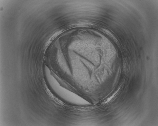 X0000068830938200605261612