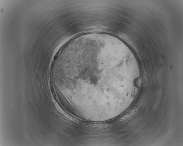 X0000068830941200605261612