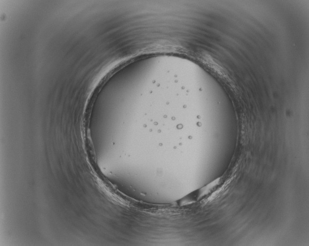 X0000068830942200605261612