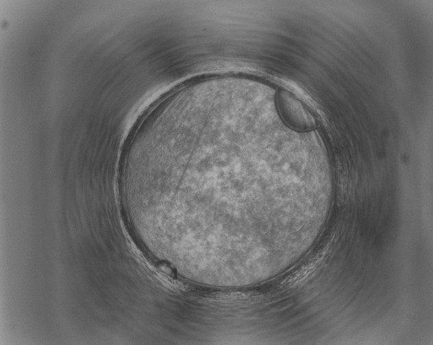 X0000068830943200605261612