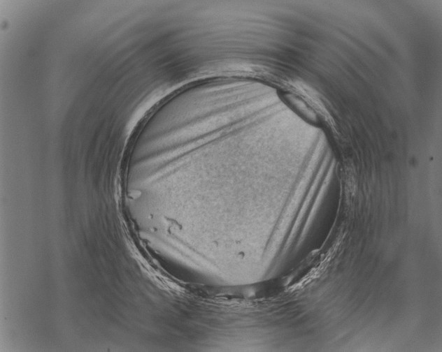 X0000068830944200605261612