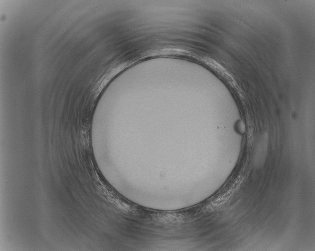 X0000068830945200605261612