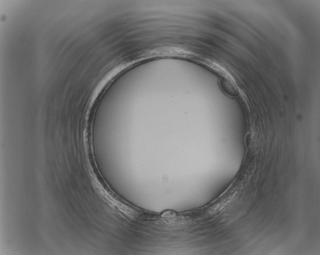 X0000068830947200605261612