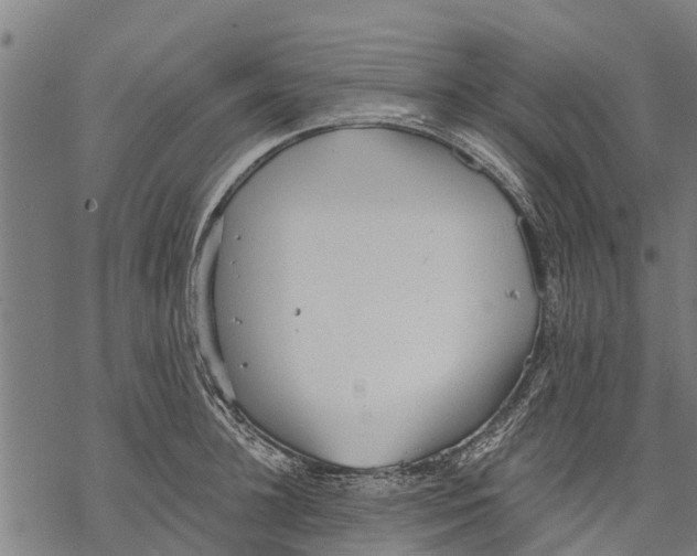 X0000068830948200605261612