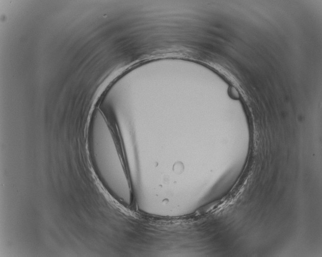 X0000068830949200605261612