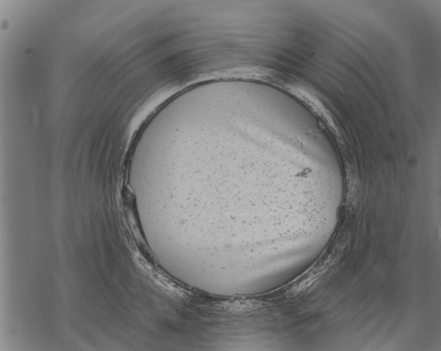 X0000068830952200605261612