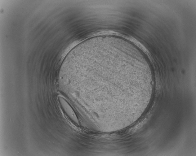 X0000068830953200605261612