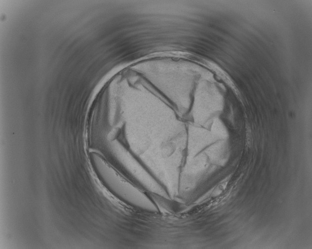 X0000068830955200605261612