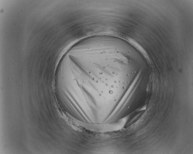 X0000068830956200605261612