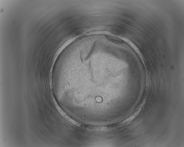 X0000068830957200605261612