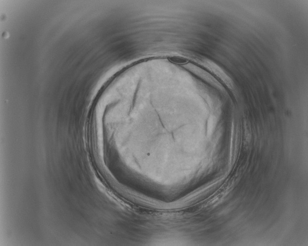 X0000068830958200605261612