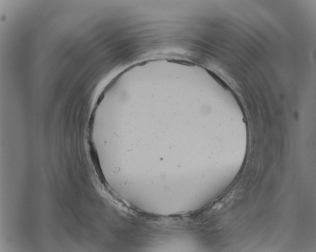 X0000068830960200605261612