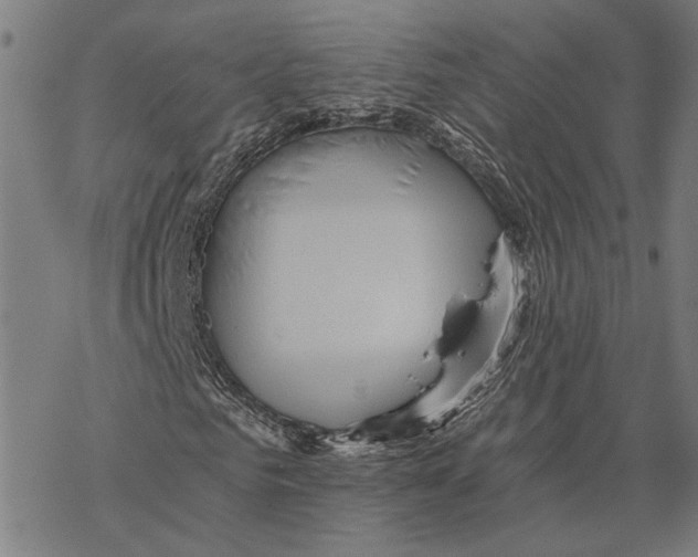 X0000068830961200605261611