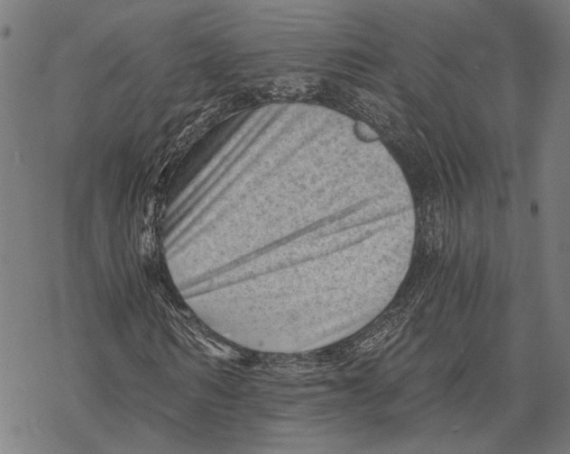 X0000068830962200605261611