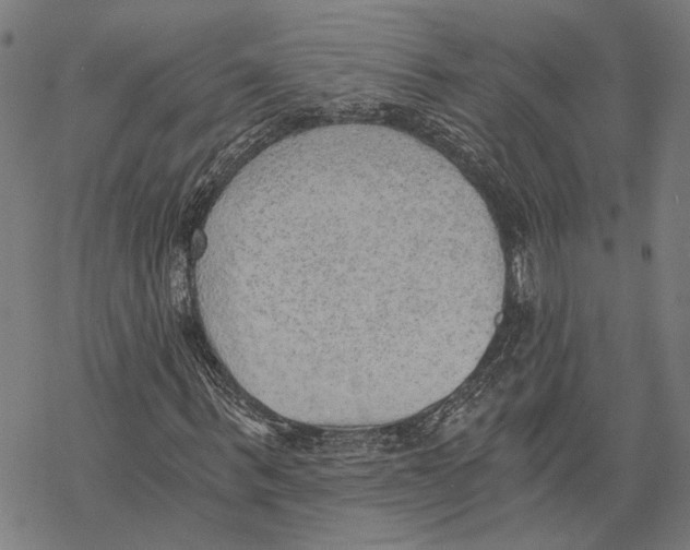 X0000068830963200605261611